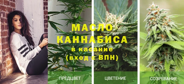 стафф Горнозаводск
