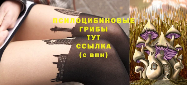 стафф Горнозаводск